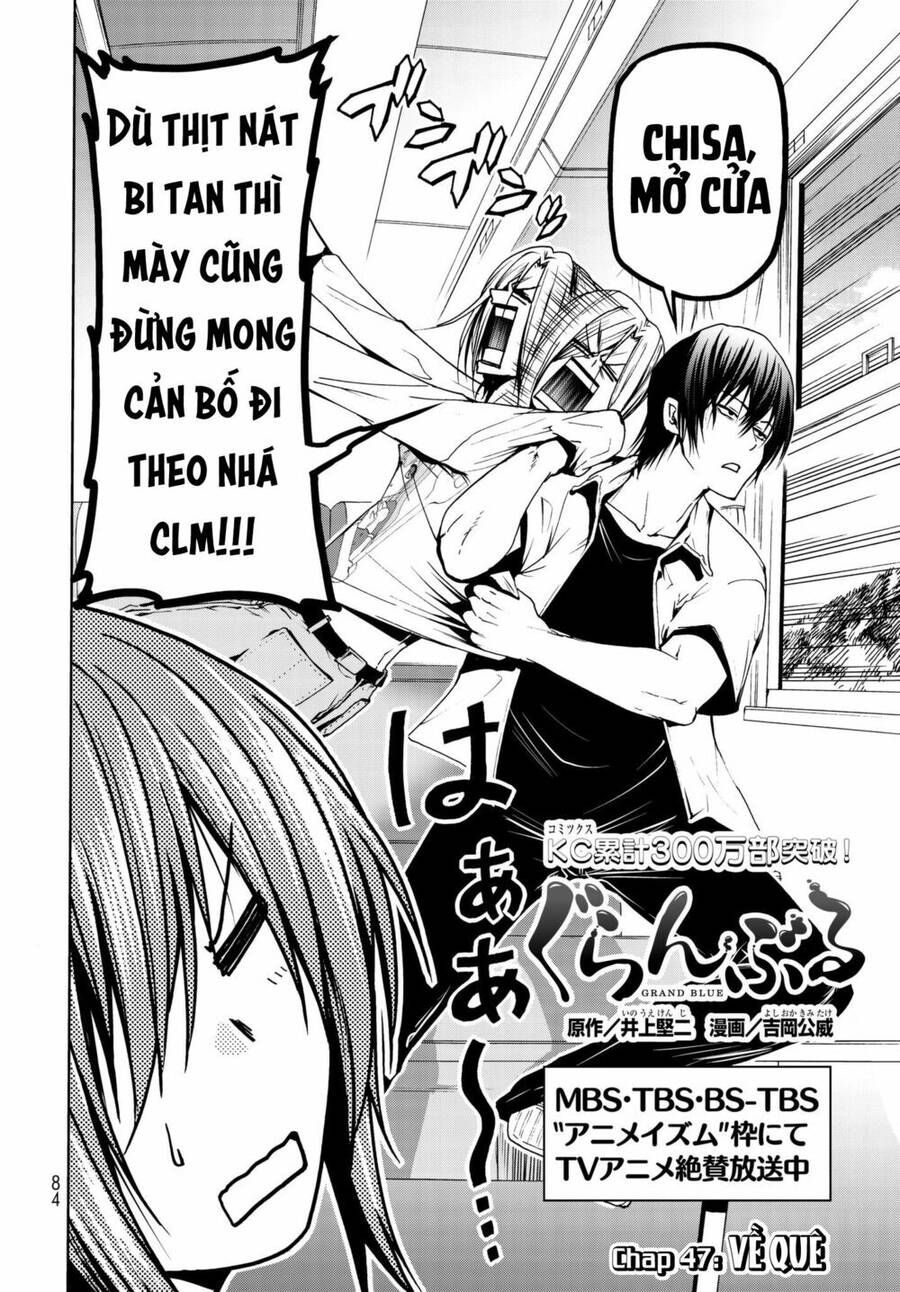 Grand Blue Chap 47 - Next Chap 46