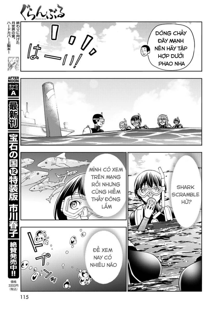 Grand Blue Chap 81 - Next Chap 80