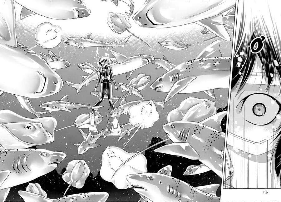 Grand Blue Chap 81 - Next Chap 80