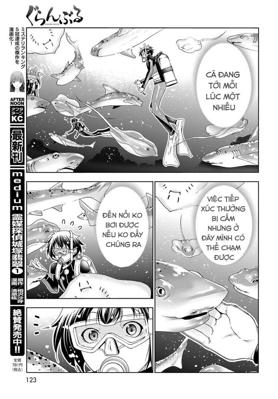 Grand Blue Chap 81 - Next Chap 80