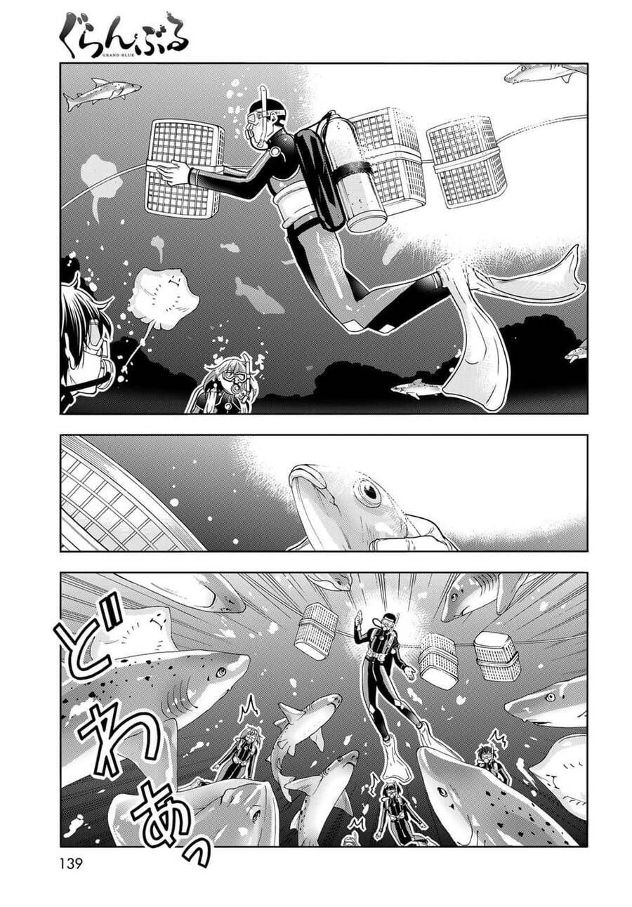 Grand Blue Chap 81 - Next Chap 80