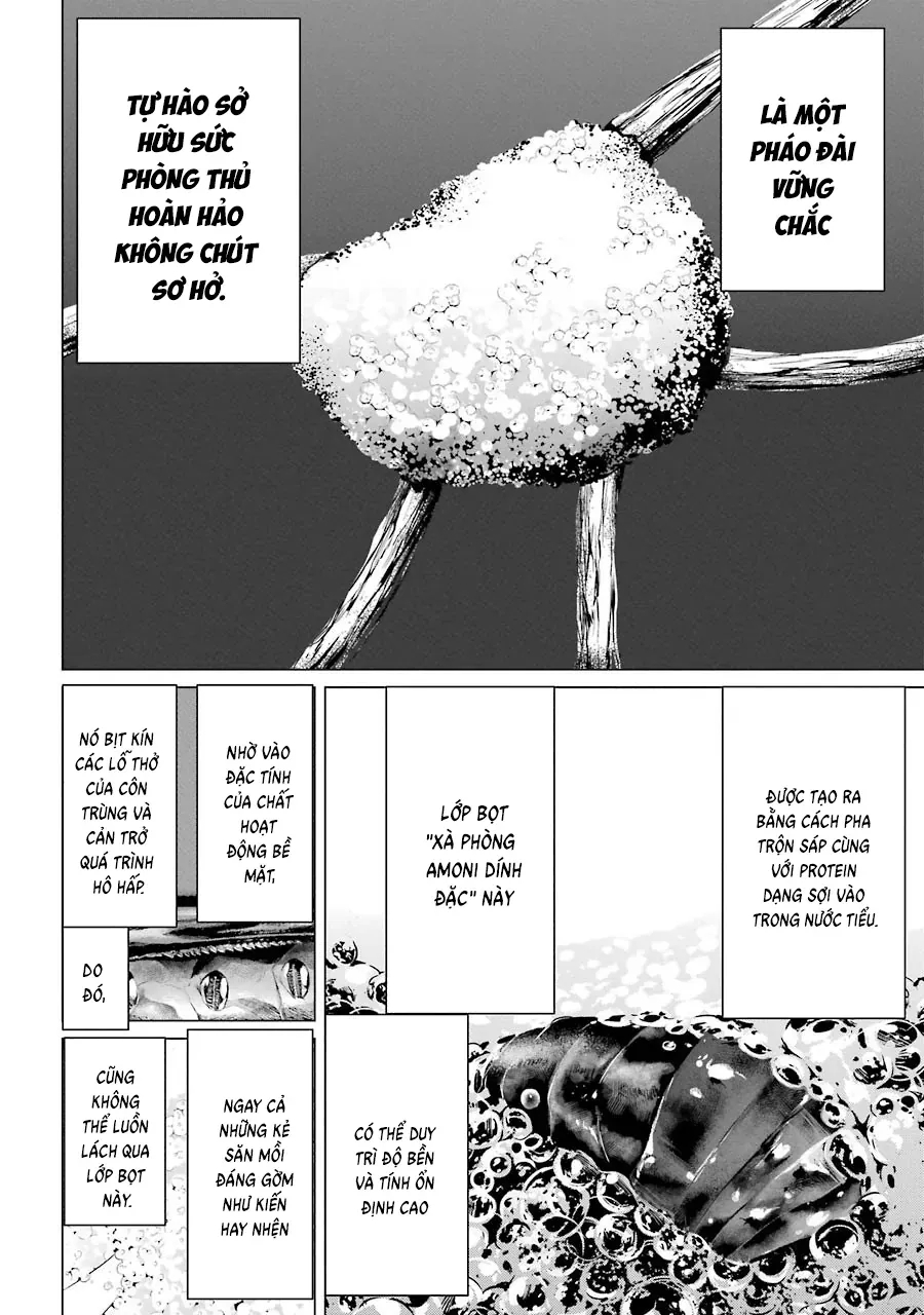 Lepidoptela Chap 2 - Next Chap 1