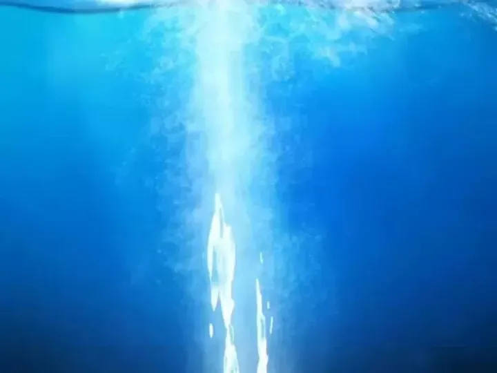 Mạt Thế Trọng Sinh: Ta Quay Gacha Làm Trùm! Chương 95 - Trang 147