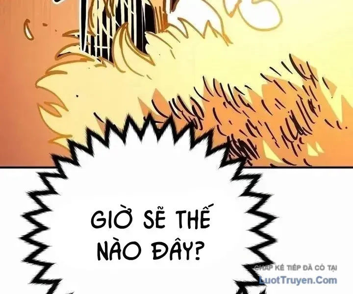 Player Chap 252 - Next Chap 251