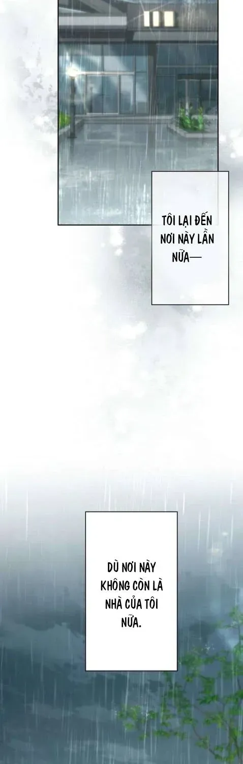 Hẹn Ước Sau Mưa Chap 12 - Next Chap 11