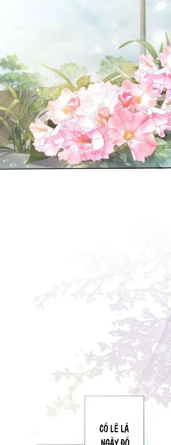 Hẹn Ước Sau Mưa Chap 13 - Next Chap 12