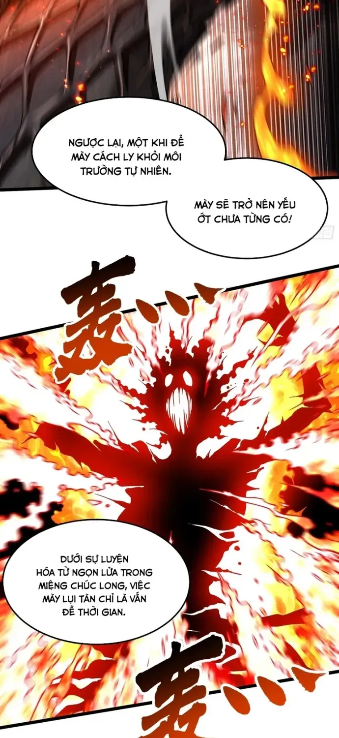 Cao Võ Tiến Hóa: Bắt Đầu Thức Tỉnh Quái Thú Chi Vương