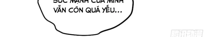 Cao Võ Tiến Hóa: Bắt Đầu Thức Tỉnh Quái Thú Chi Vương