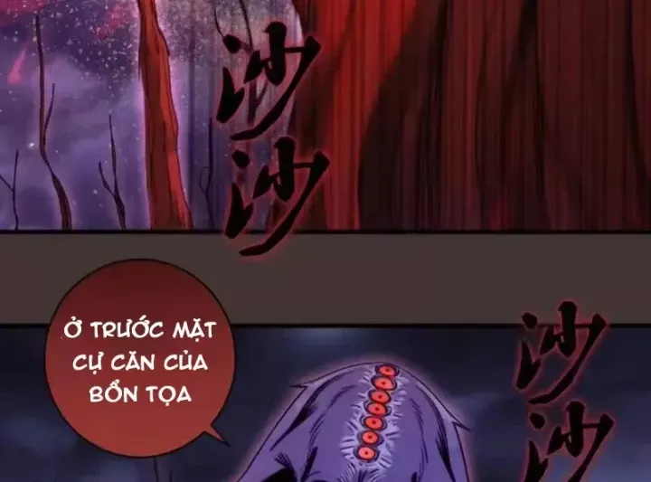 Cao Đẳng Linh Hồn