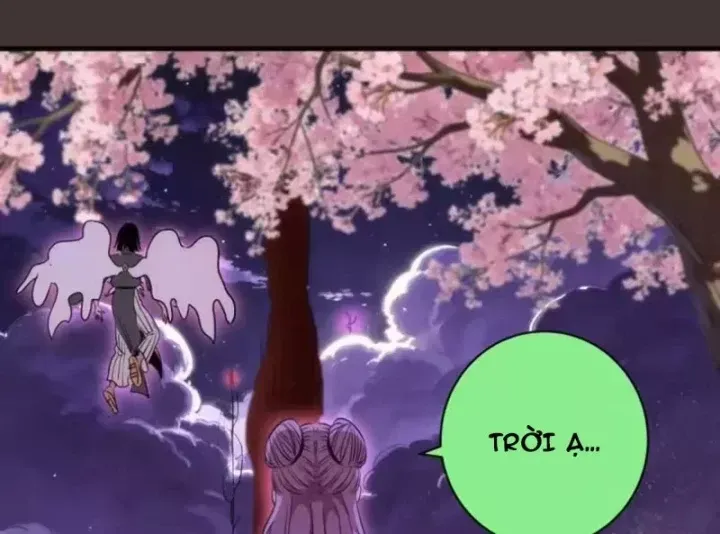 Cao Đẳng Linh Hồn