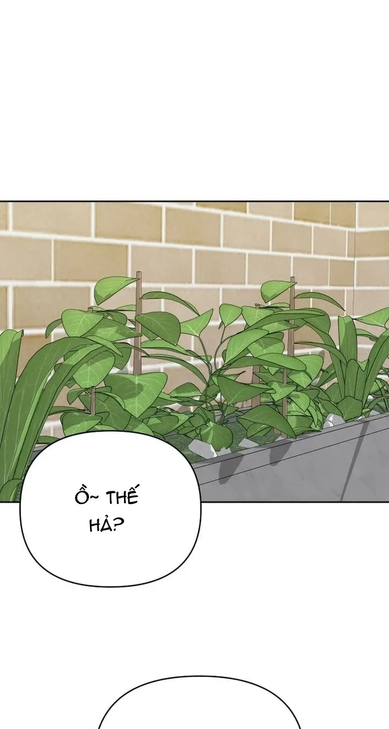 Tôi Có 4 Người Anh Trai - Chương 26 - Trang 79