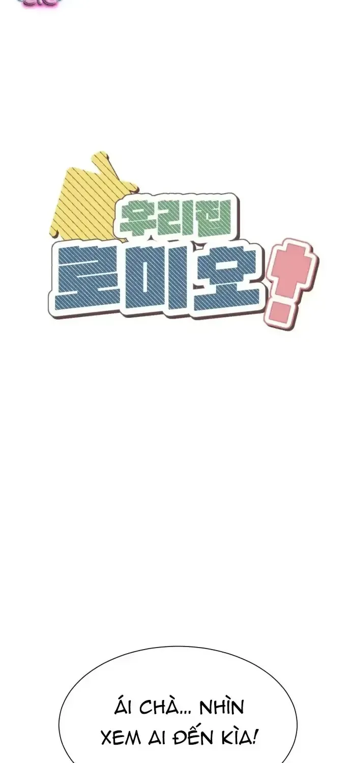 Chàng Romeo Của Chúng Ta