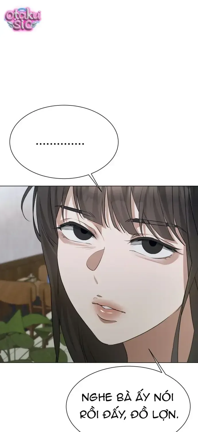 Chàng Romeo Của Chúng Ta