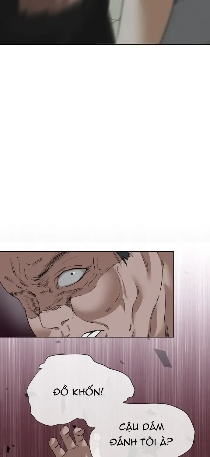 Chàng Romeo Của Chúng Ta