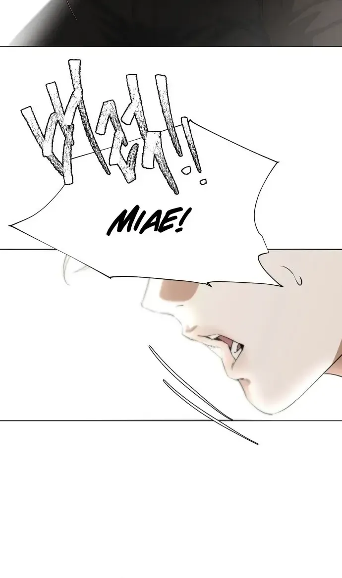 Chàng Romeo Của Chúng Ta