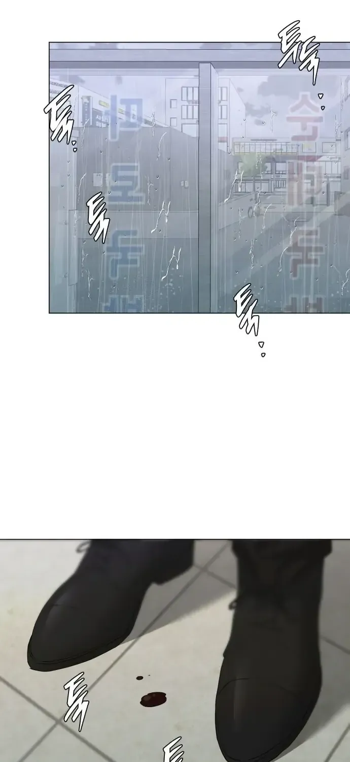 Chàng Romeo Của Chúng Ta