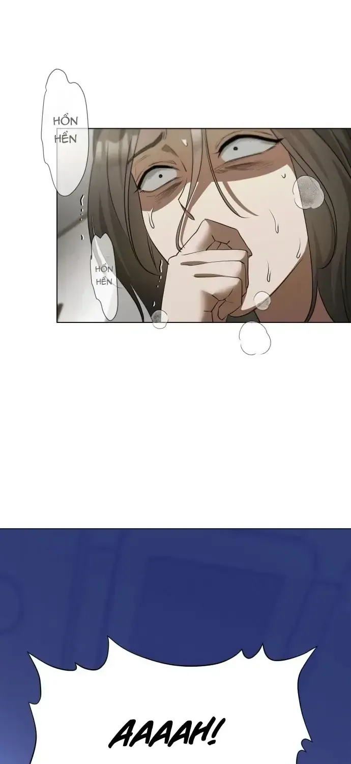 Chàng Romeo Của Chúng Ta