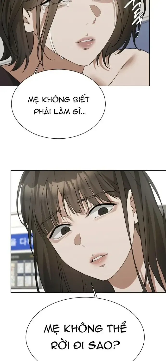 Chàng Romeo Của Chúng Ta