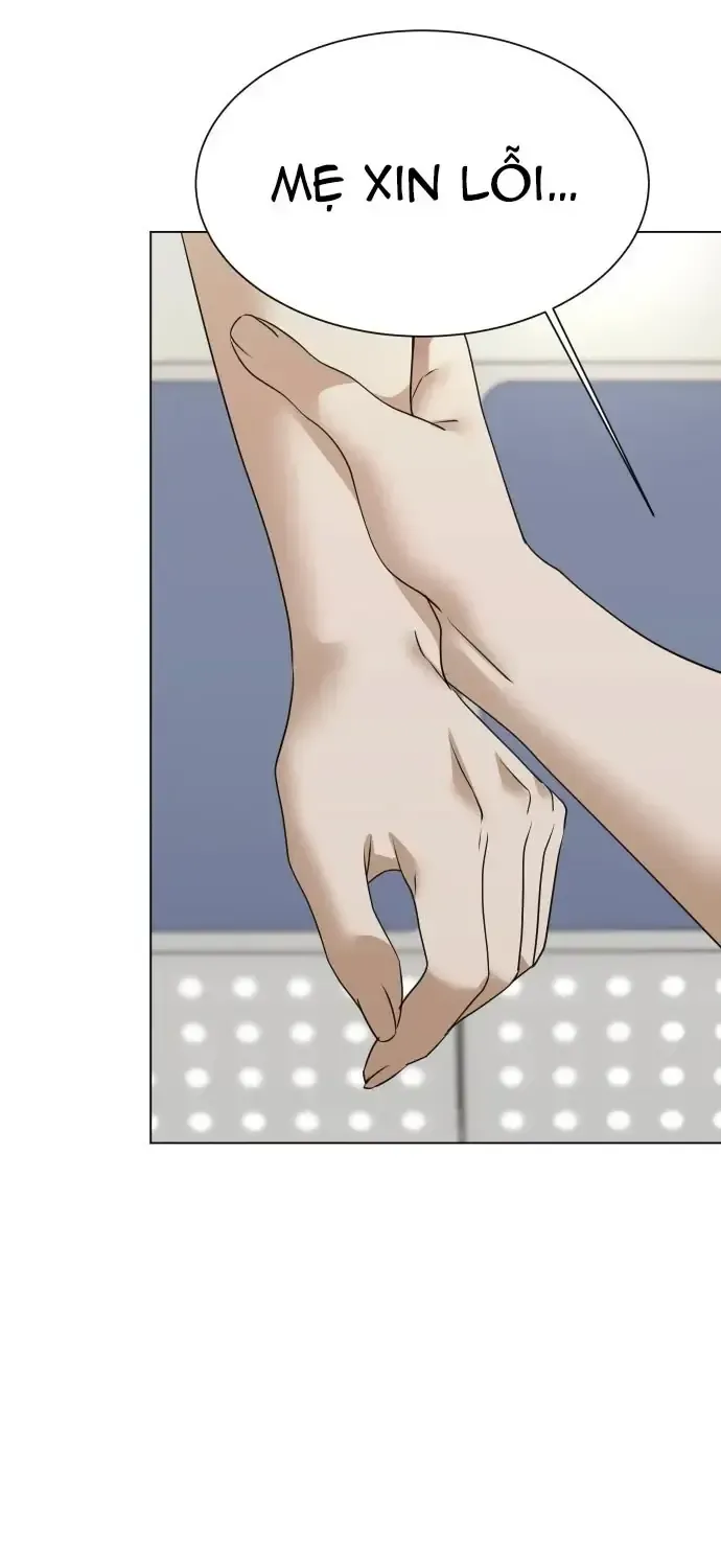 Chàng Romeo Của Chúng Ta