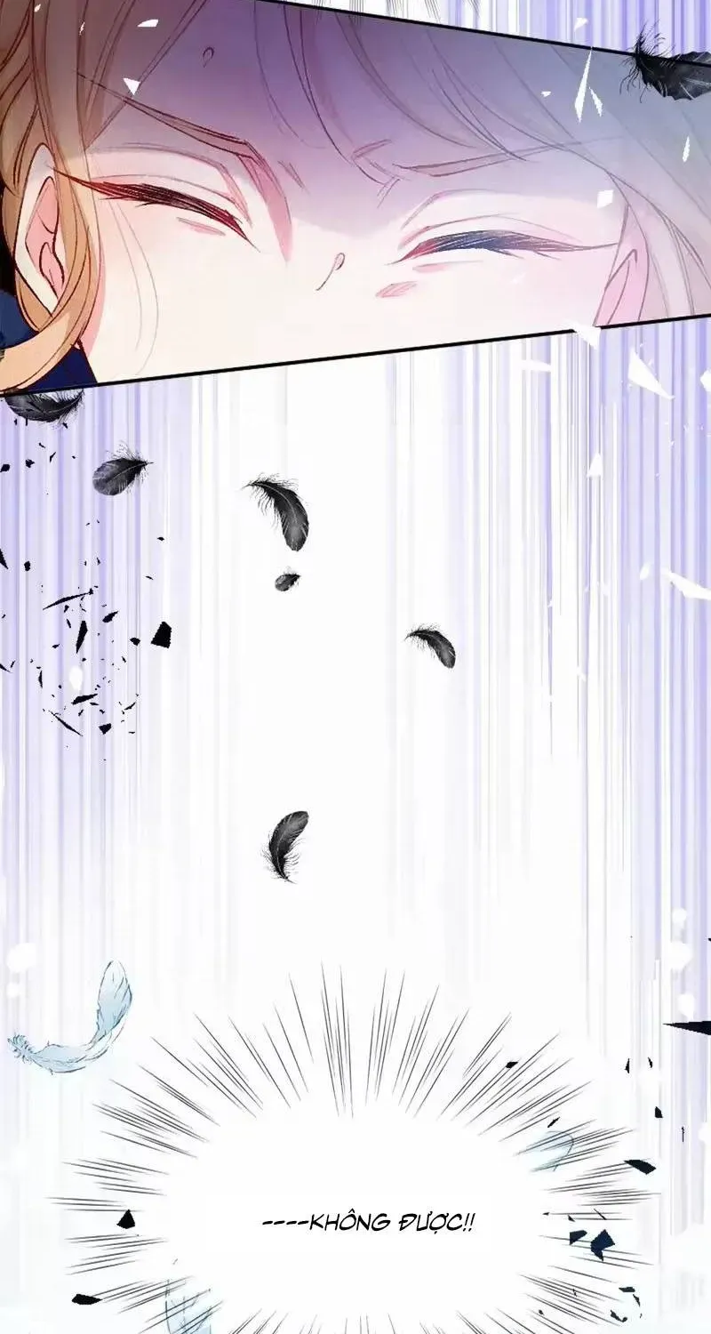 Bệ Hạ, Xin Hãy Ghét Ta Chap 2 - Next Chap 1