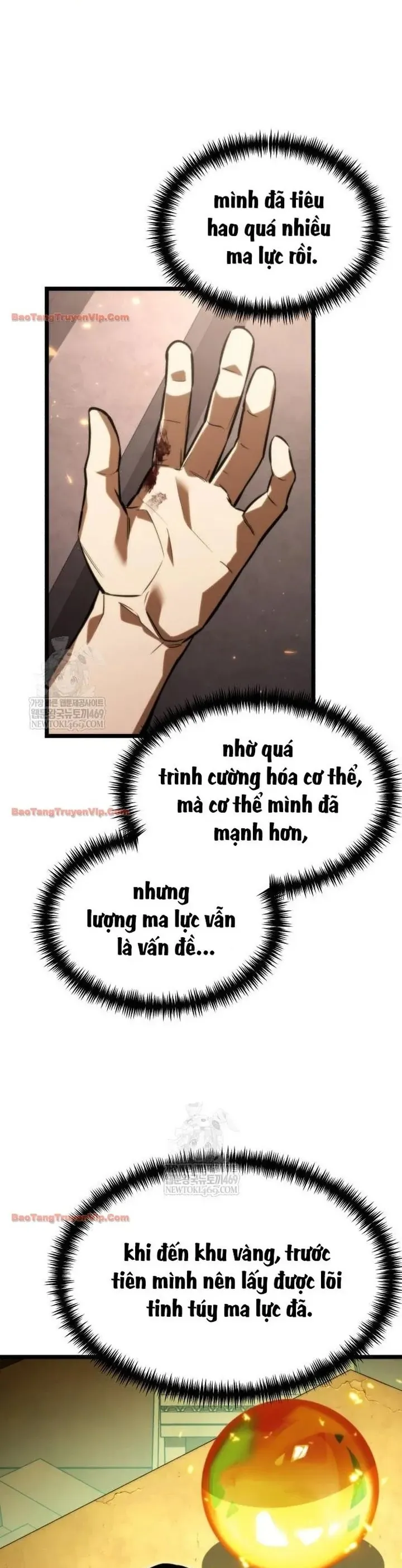 Chiến Binh Hồi Quy