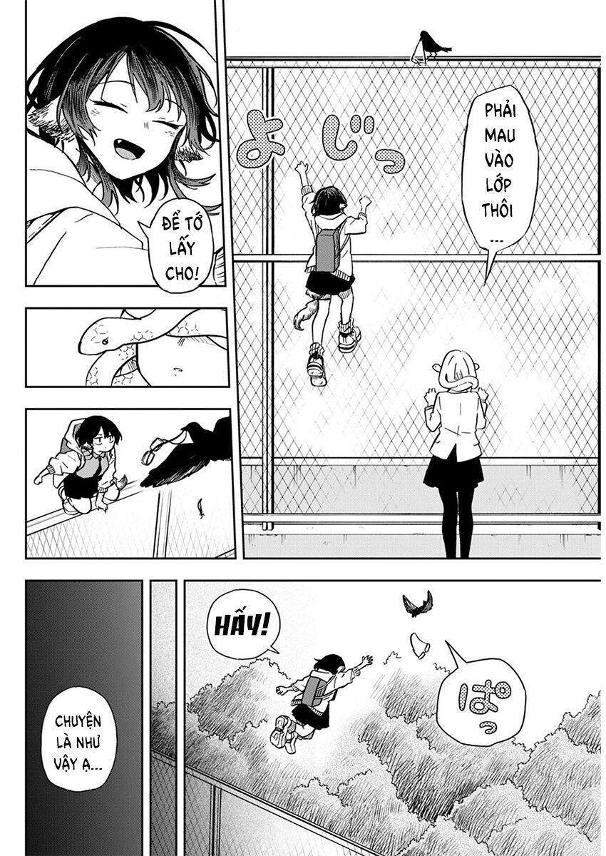 Tsumiki Ogami Và Cuộc Sống Diệu Kỳ Chap 9 - Next Chap 8