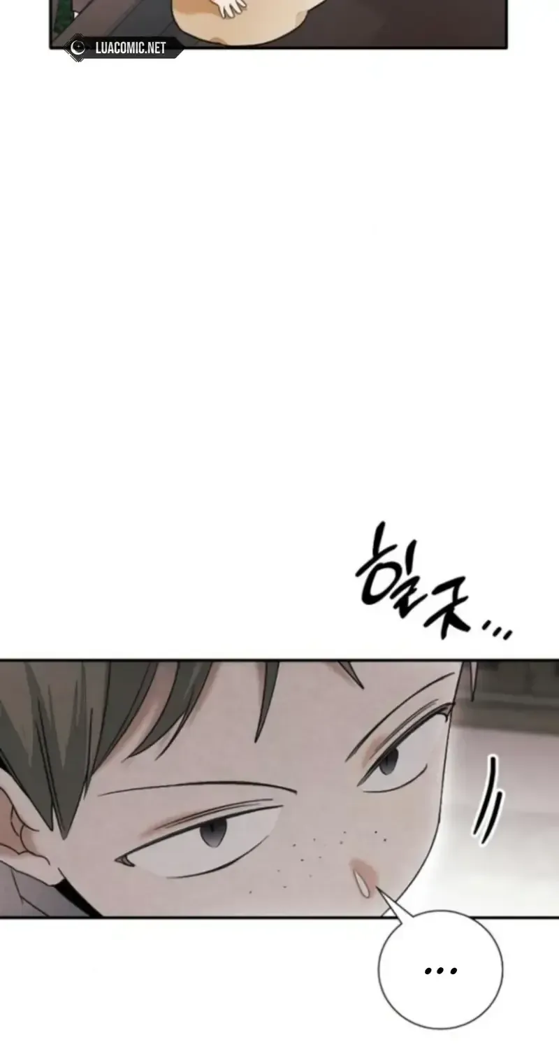 Bảo Vệ Người Cha Bạo Chúa