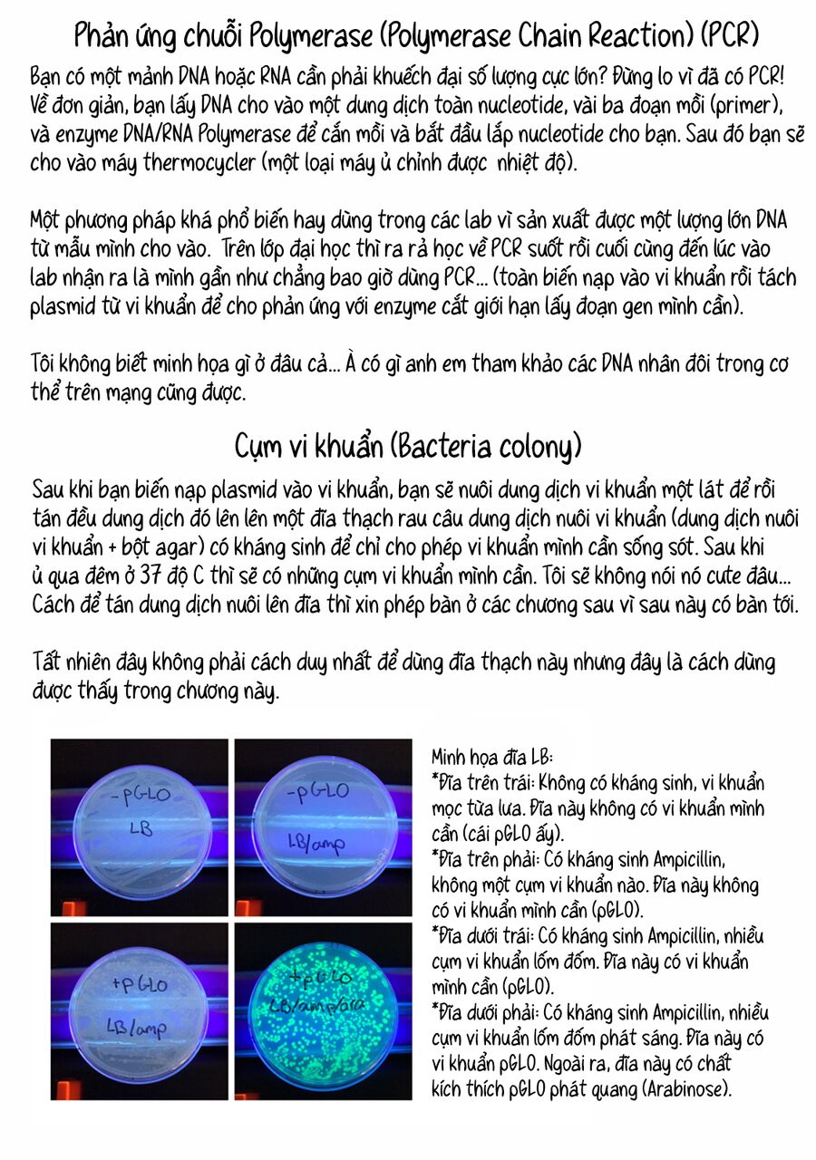 Trang 11 - Lalalab☆ ~Gyaru, Khoa Học, Và Thanh Xuân!~