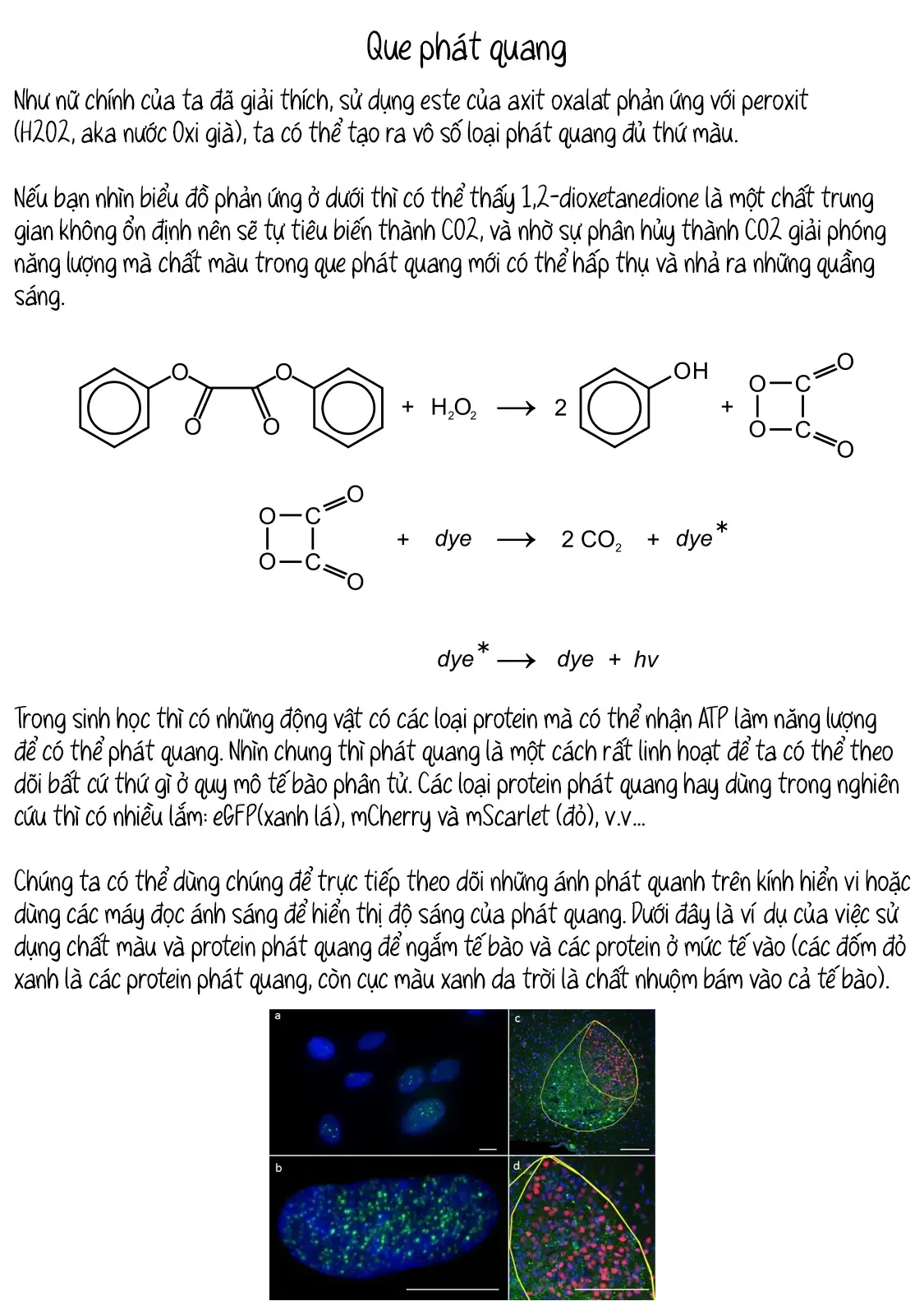 Trang 10 - Lalalab☆ ~Gyaru, Khoa Học, Và Thanh Xuân!~