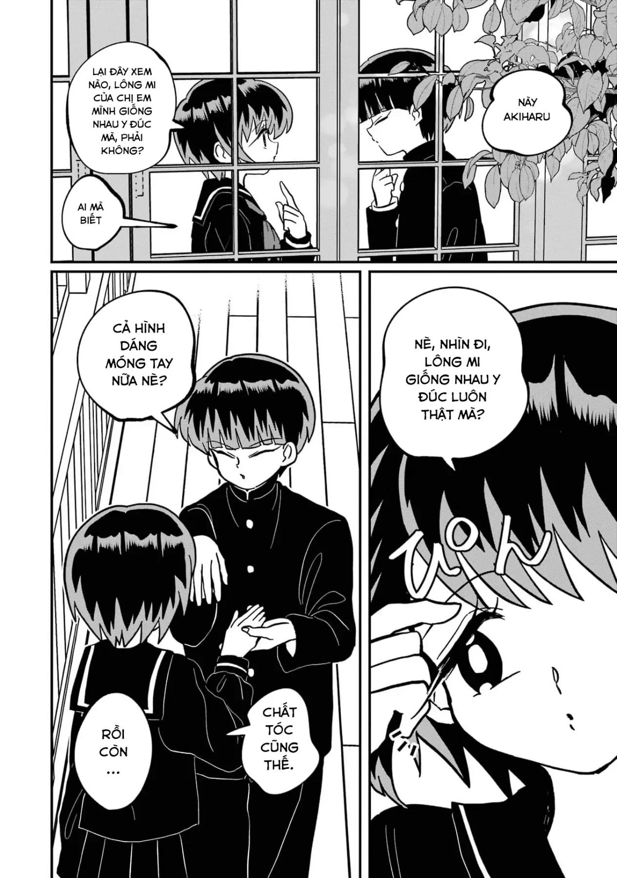 Chị Gái Mắt Nai ☆ Em Trai Mắt Cáo