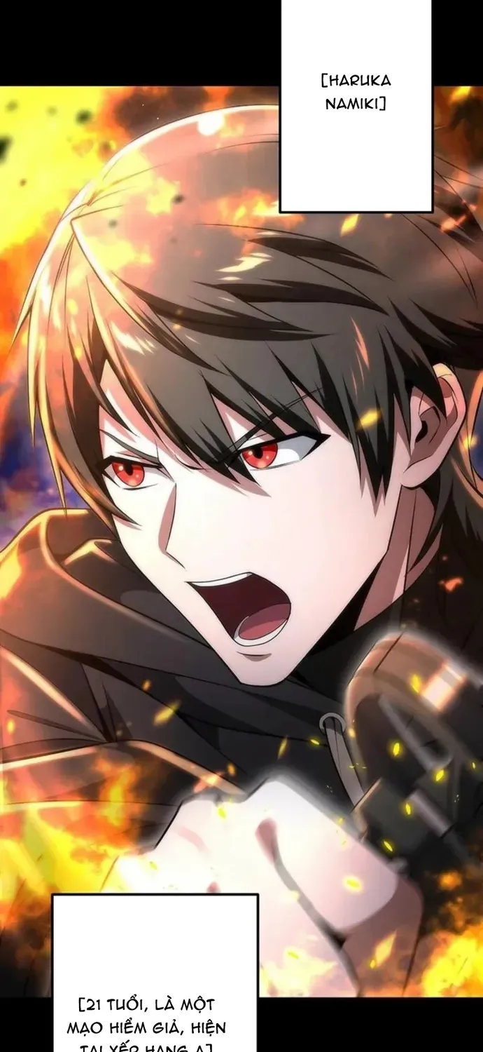 Vượt Cấp Với Kỹ Năng Thần Thánh - Chương 31 - Trang 3