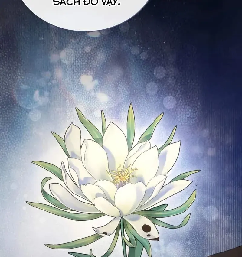 Đa Sắc Ma Pháp Sư Thiên Tài