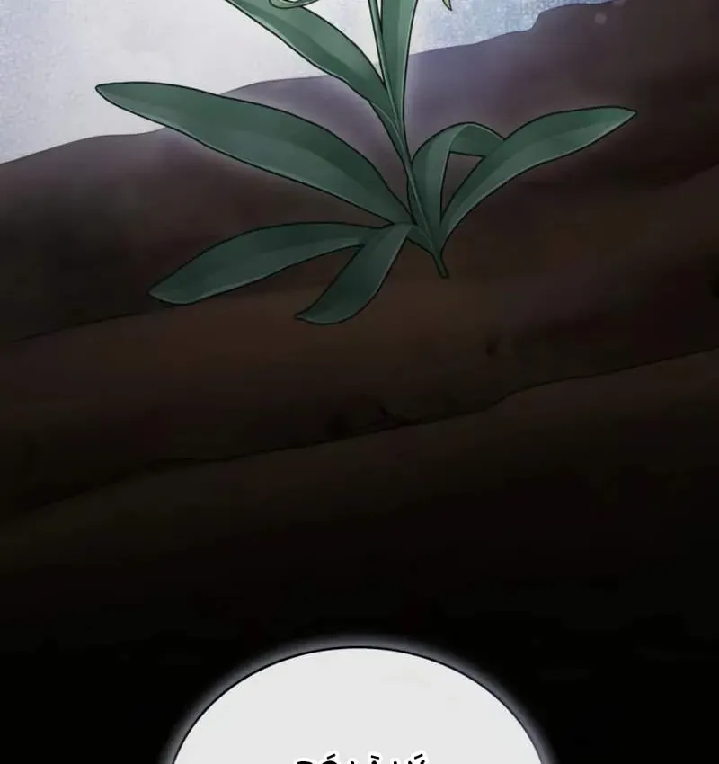 Đa Sắc Ma Pháp Sư Thiên Tài