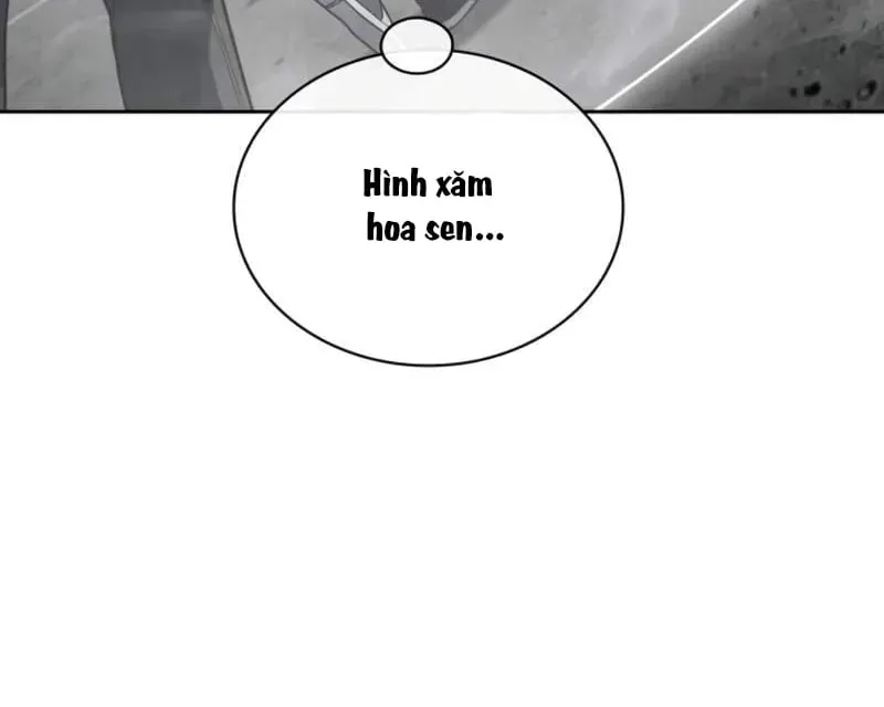 Đa Sắc Ma Pháp Sư Thiên Tài