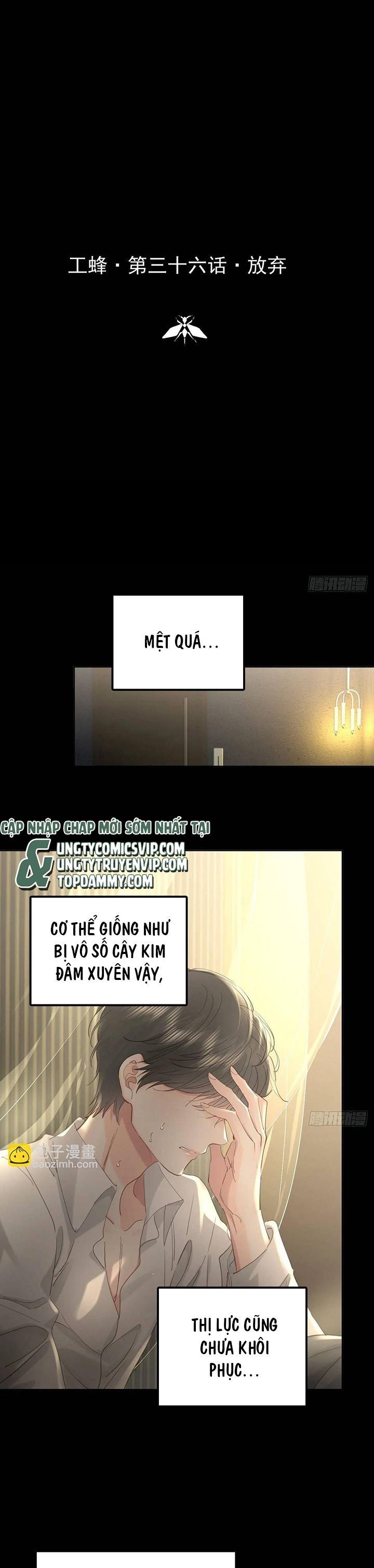 Ong Thợ Chap 36