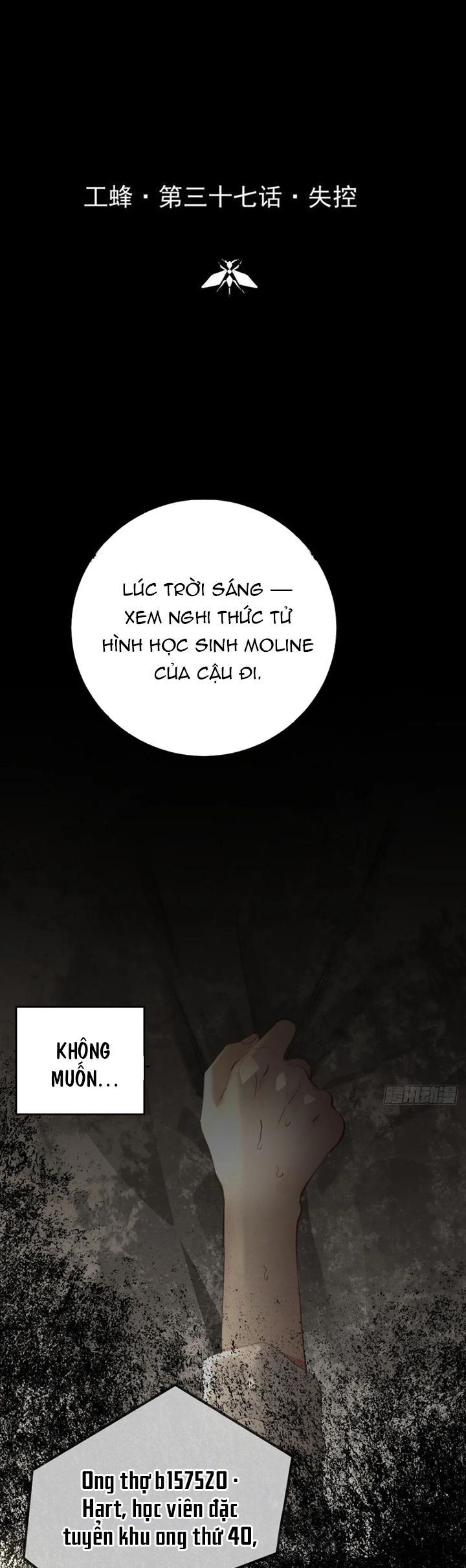 Ong Thợ Chap 37