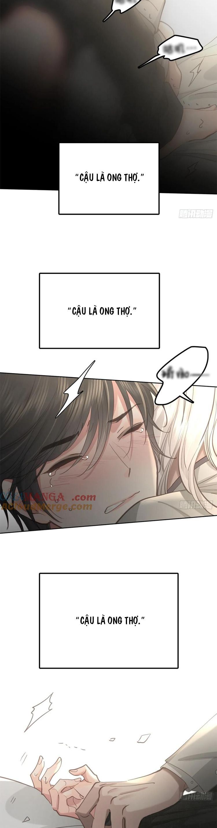 Ong Thợ [Chap 0-85] — trang 14