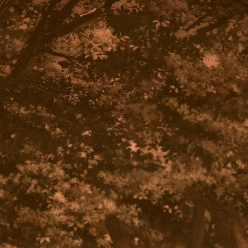 Sự Trở Lại Của Thiên Tài Ranker Chap 18 - Next Chap 17