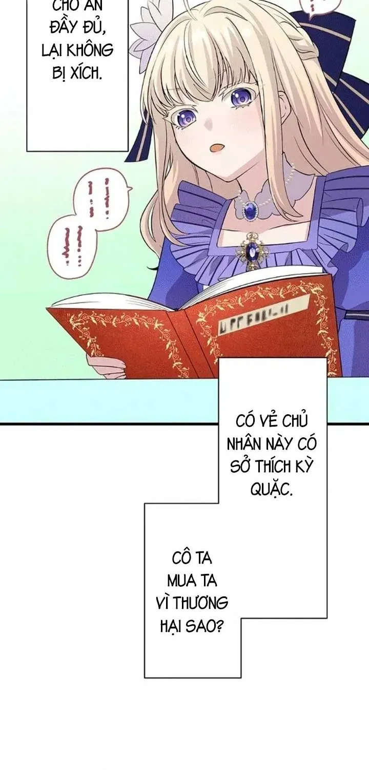 Tiểu Thư Út Tái Sinh [Chap 0-11] — trang 34