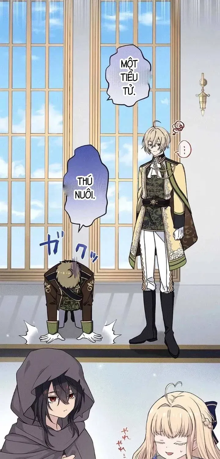 Tiểu Thư Út Tái Sinh [Chap 0-11] — trang 5