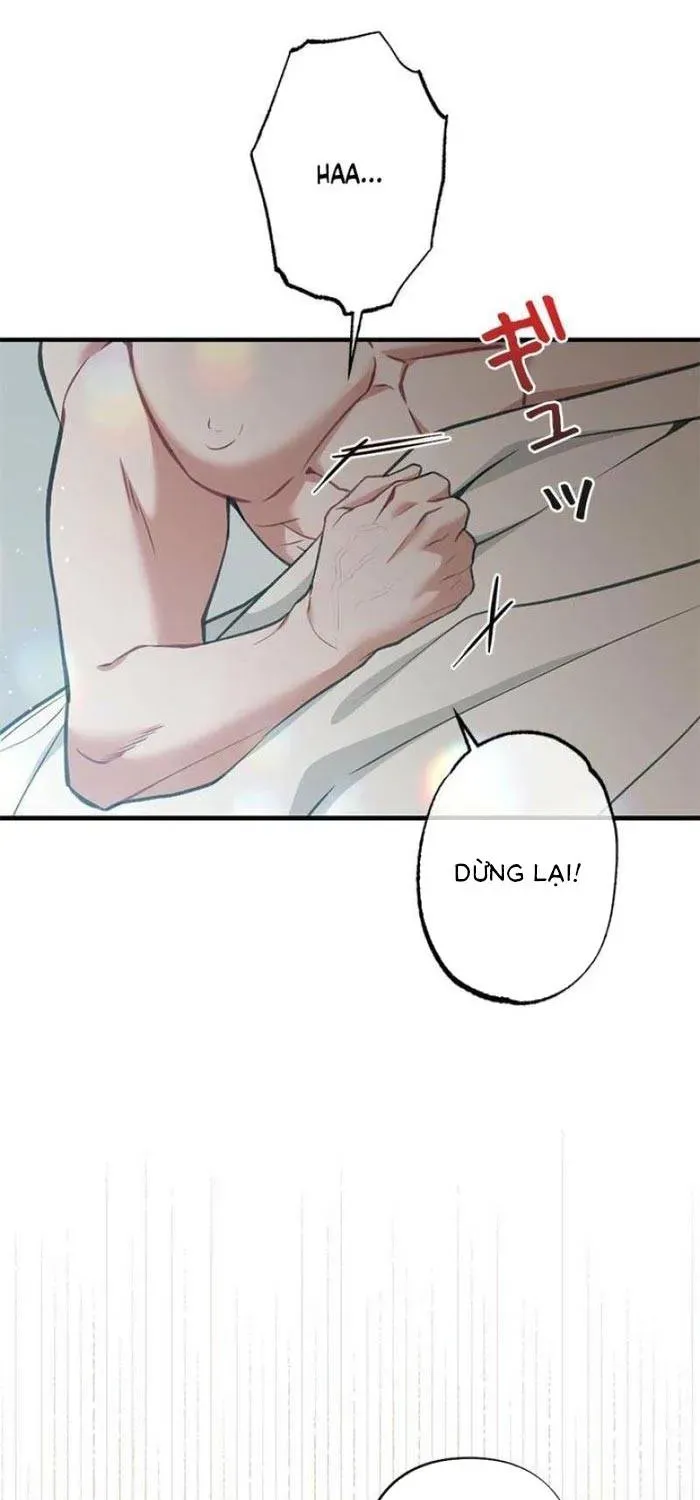 Trang 17 - Lần Đầu Của Tổng Tài