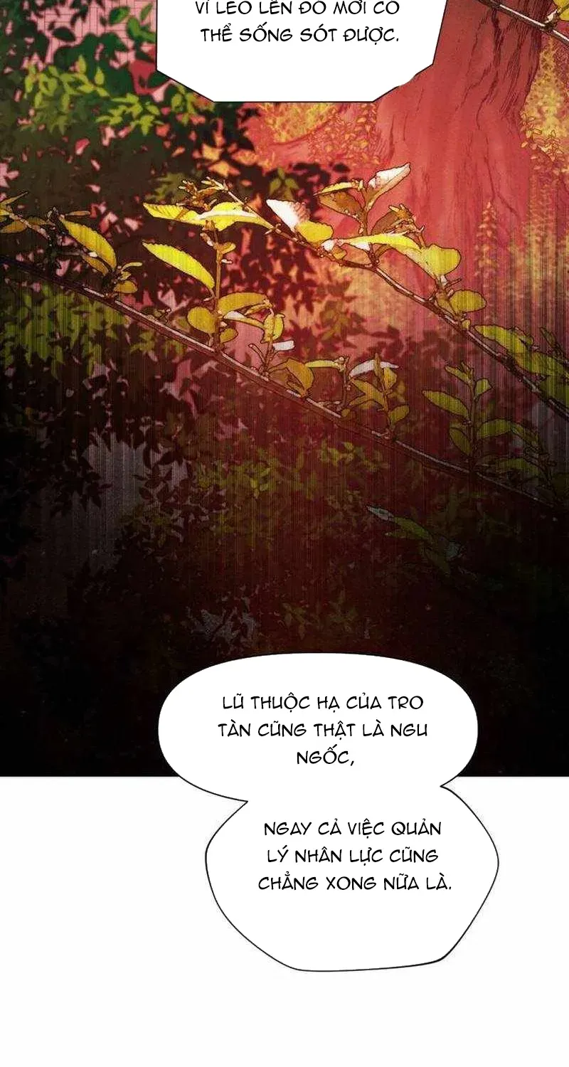 Trang 37 - Chuyển Sinh Vào Thế Giới Võ Lâm