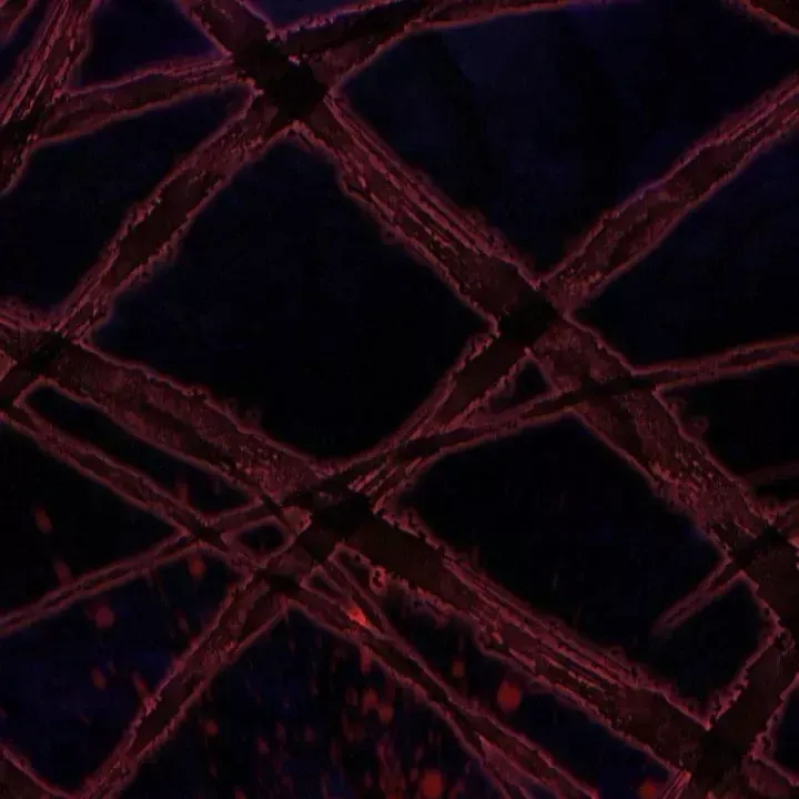 Trang 75 - Chuyển Sinh Vào Thế Giới Võ Lâm