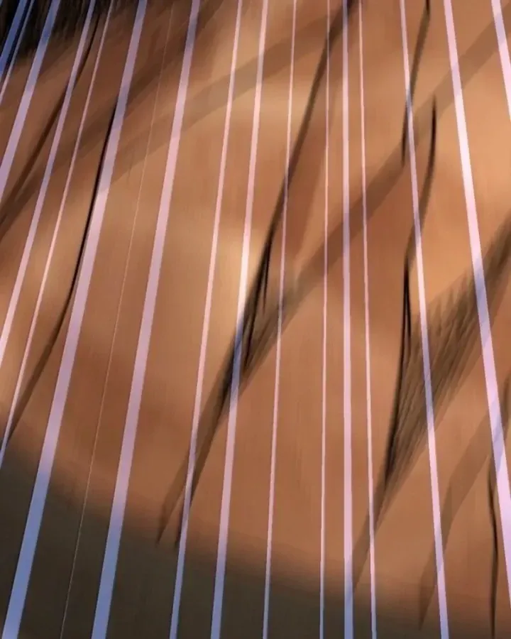 Trang 27 - Vai Ác Sư Tôn Mang Theo Các Đồ Đệ Vô Địch Thiên Hạ