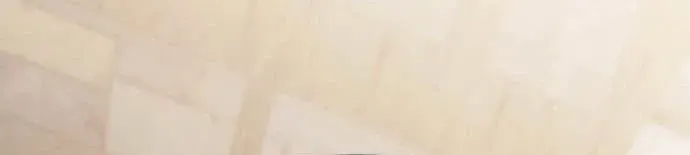 Trang 74 - Thiếu Gia Chủ Của Gia Tộc Tử Linh Sư