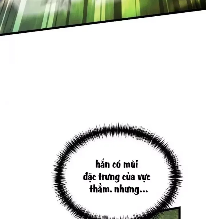 Chiến Binh Hồi Quy