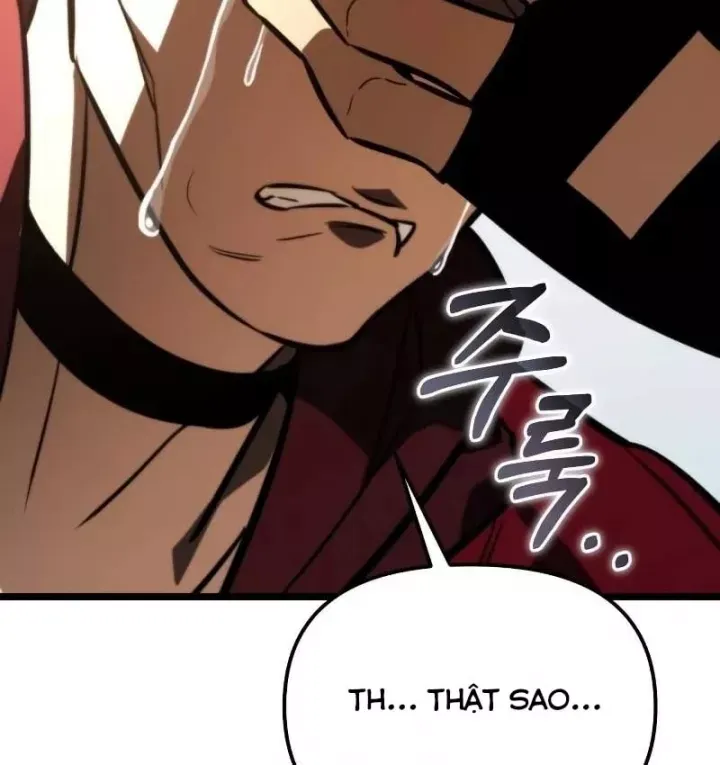 Chiến Binh Hồi Quy