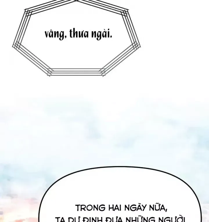 Chiến Binh Hồi Quy