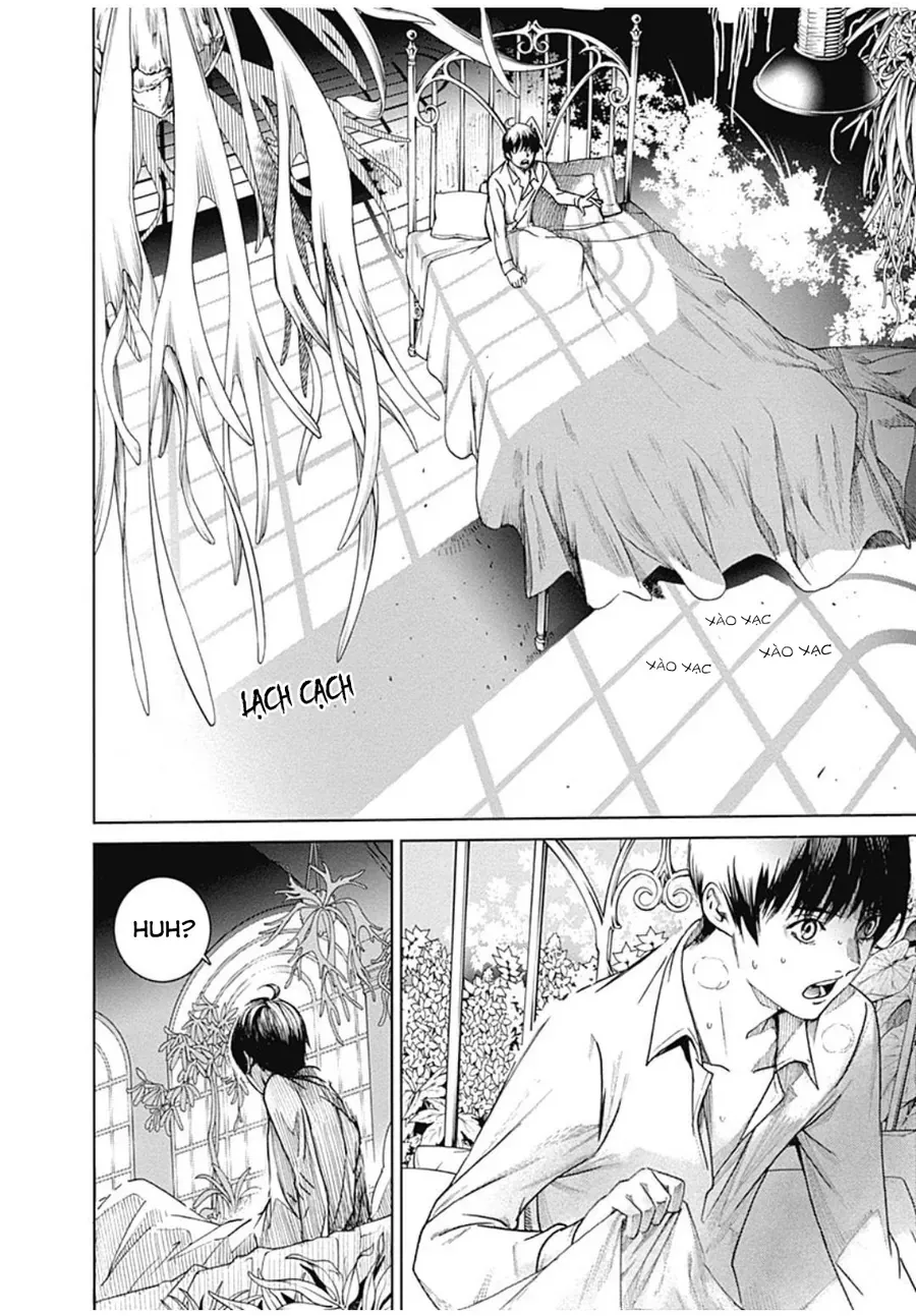 Biorg Trinity Chap 37 - Next Chap 36