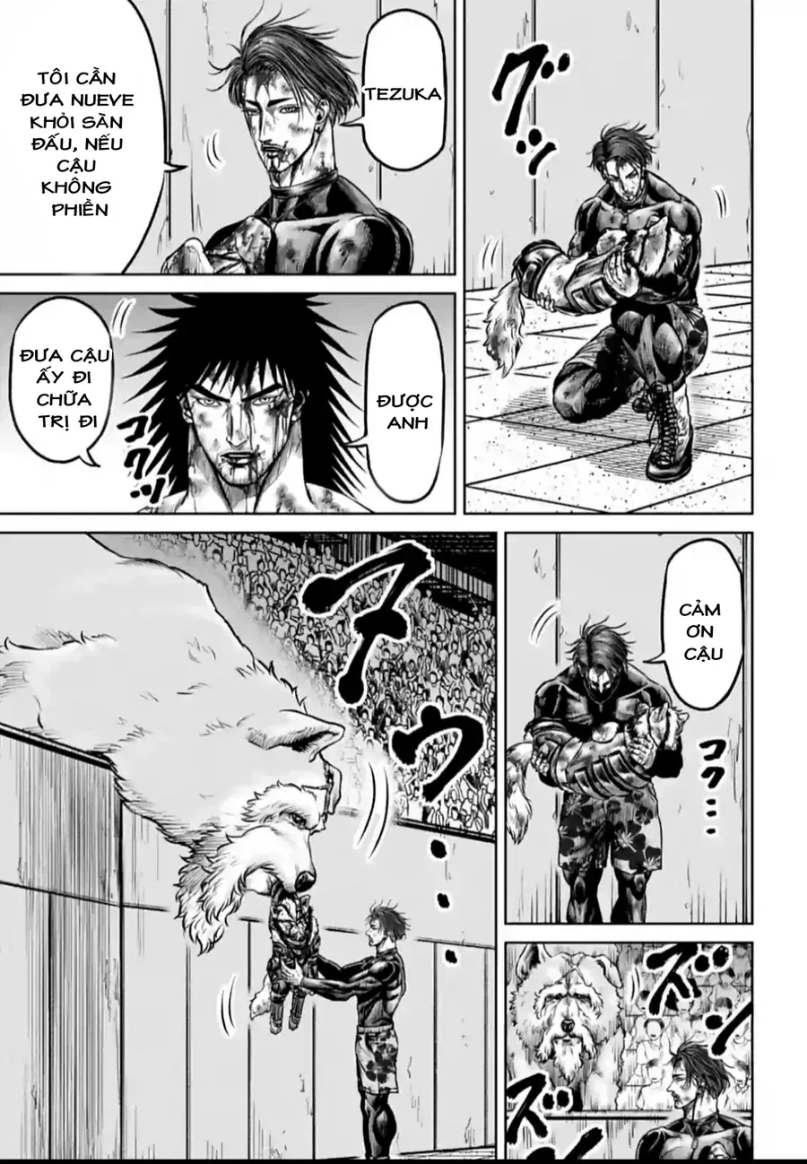 Trang 14 - Loạn Đấu Tokyo